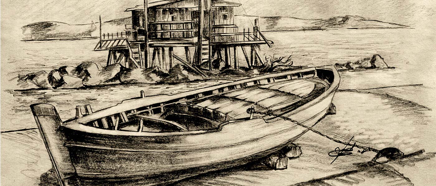 Disegno grafite