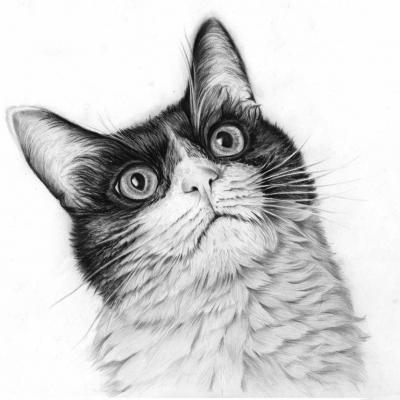 Disegno Nino Noce