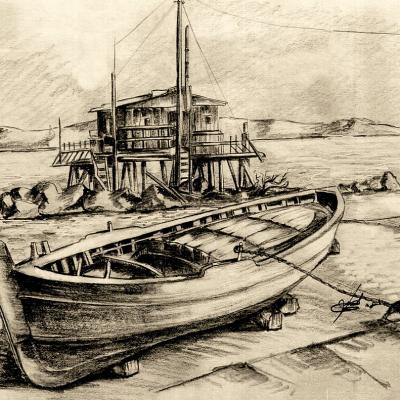 Disegno nino Noce