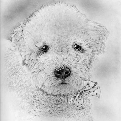 disegno Nino Noce