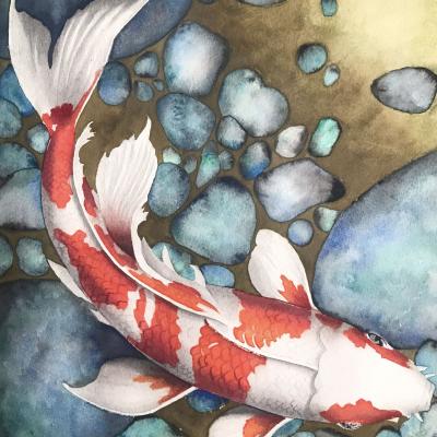 Aqcuerello pesce Kuroi
